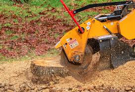 Best Fruit Tree Pruning  in Watchung, NJ