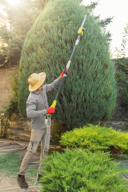 Best Lawn Irrigation Installation and Maintenance  in Watchung, NJ